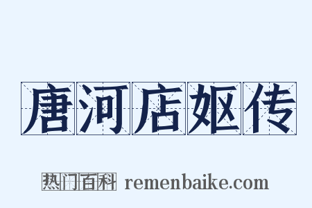 唐河店妪传是什么意思的图片